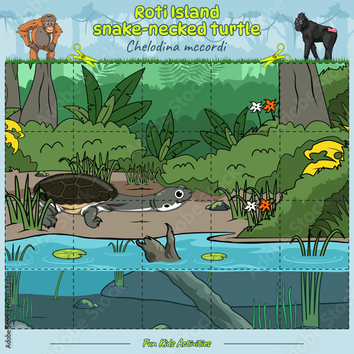 Cut and play Roti Island snake-necked turtle or turtle in the swamp
