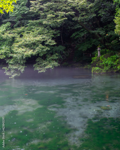 栃木県佐野市 翡翠のような出流原弁天池