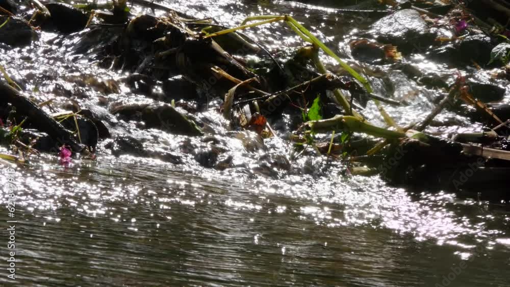 Mountain stream Mueglitz, flowing water, Glashuette, Saxony, Germany, Europe Mountain stream Mueglitz, flowing water, Glashuette, Saxony, Germany, Europe