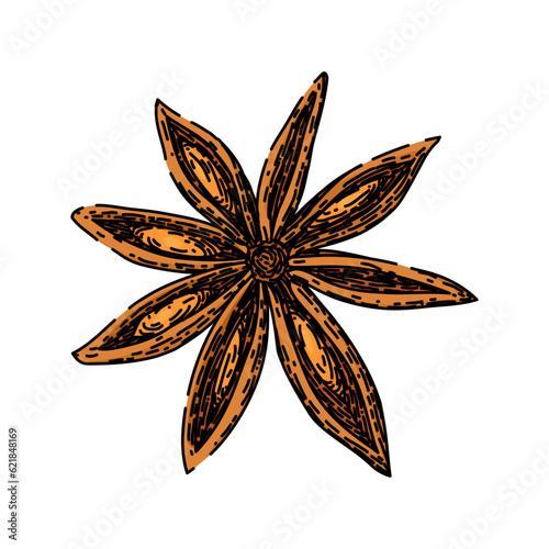 ingredient anise star hand drawn. chinese condiment, herb seed, ed cooking ingredient anise star vector sketch. isolated color illustration