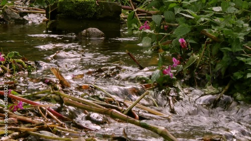 Mountain stream Mueglitz, flowing water, Glashuette, Saxony, Germany, Europe photo