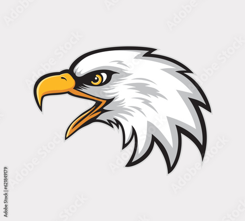 Hand drawn of Eagle head   Eagle mascot for t-shirt   Sport wear  logo  emblem graphic  athletic apparel stamp.