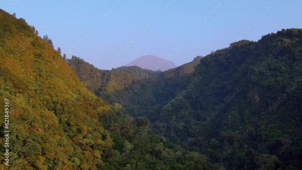 Fly over Steep cliff between 2 hills overgrown with dense forest. Peaceful nature footage - 4K drone view Fly over Steep cliff between 2 hills overgrown with dense forest. Peaceful nature footage - 4K drone view