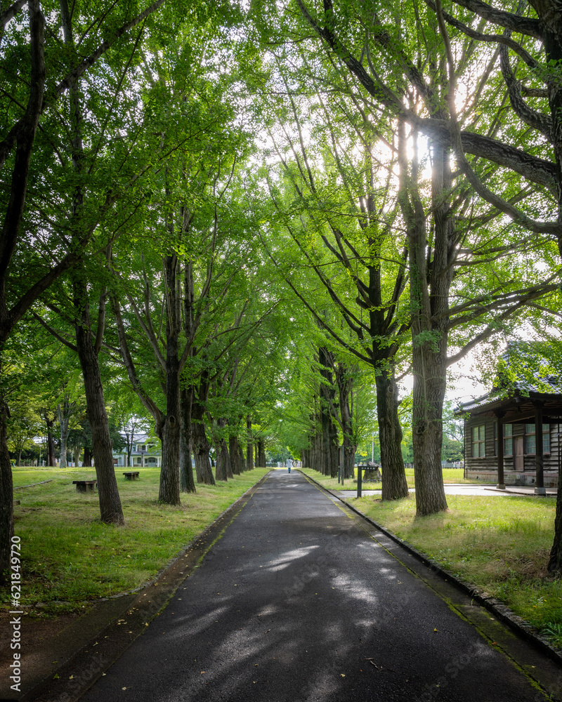 Fototapeta premium 茨城県水戸市 茨城県立歴史館の初夏の風景