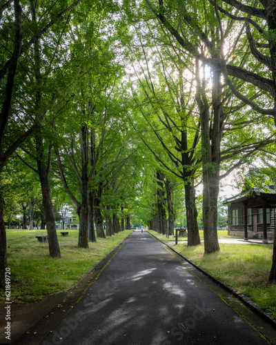 茨城県水戸市 茨城県立歴史館の初夏の風景