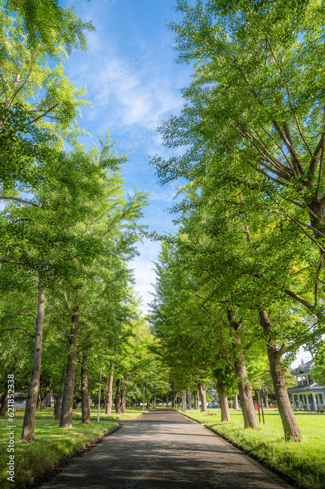 Fototapeta premium 茨城県水戸市 茨城県立歴史館の初夏の風景