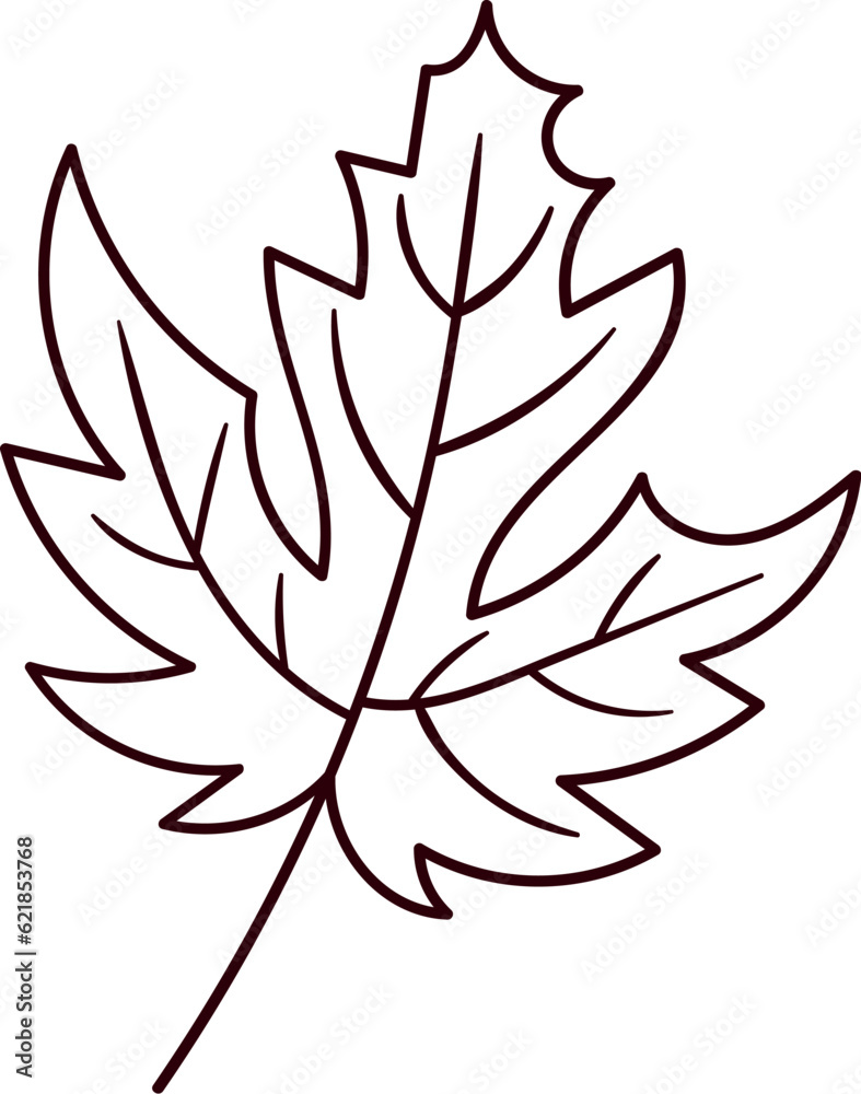 Fototapeta premium Maple Leaf Lined
