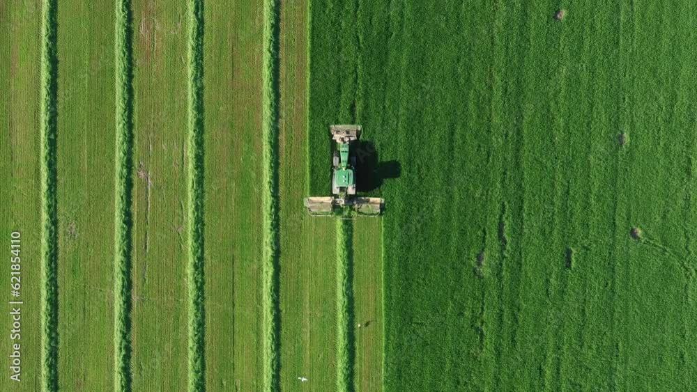 Agronomist on tractor with mower trailer mows fresh green grass for silage, livestock feed or hay. Farmer work on agricultural field. Tractor driving along vertical straight line. Aerial view