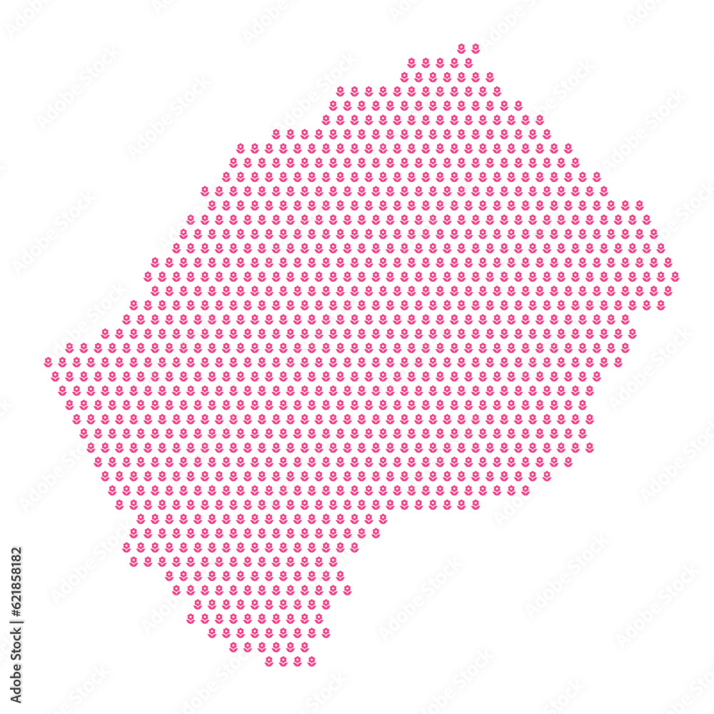 Map of the country of Lesotho with pink flower icons on a white background