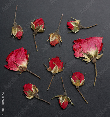 dried pressed roses on solid black background