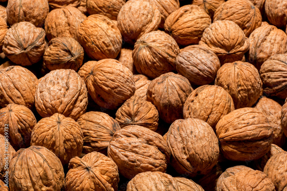 Large group of wallnut fruit background. High quality photo Large group of wallnut fruit background. High quality photo