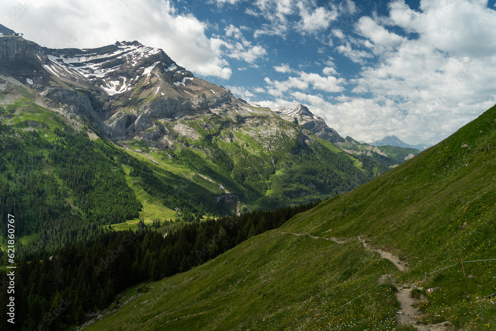 Chemin de randonnée dans les Alpes Suisse avec en arrière plan une montagne avec de la neige
