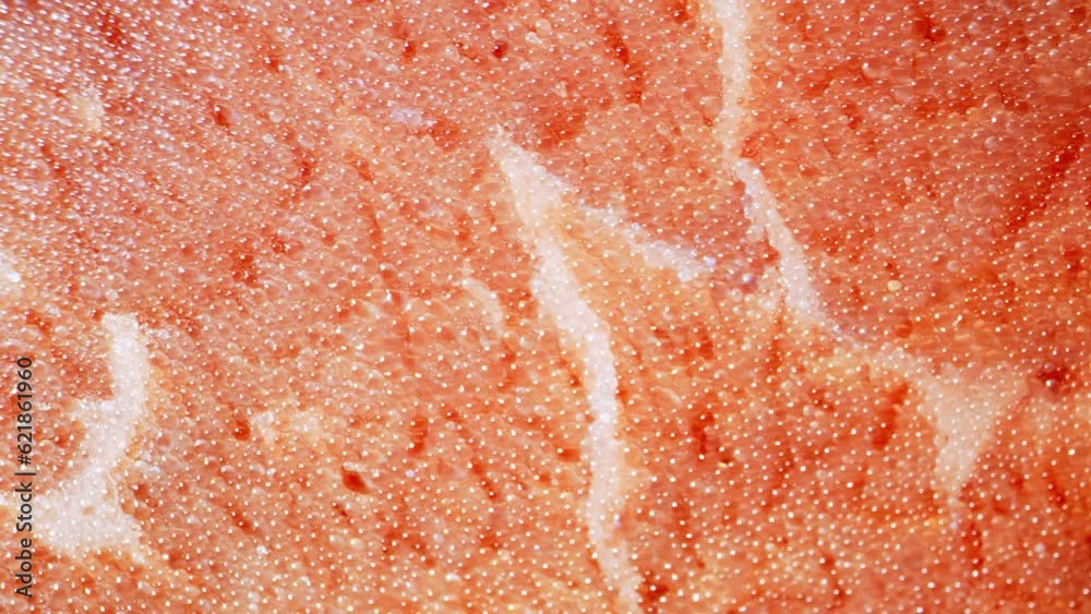 A visual delight as the camera delves into the frozen world of ...