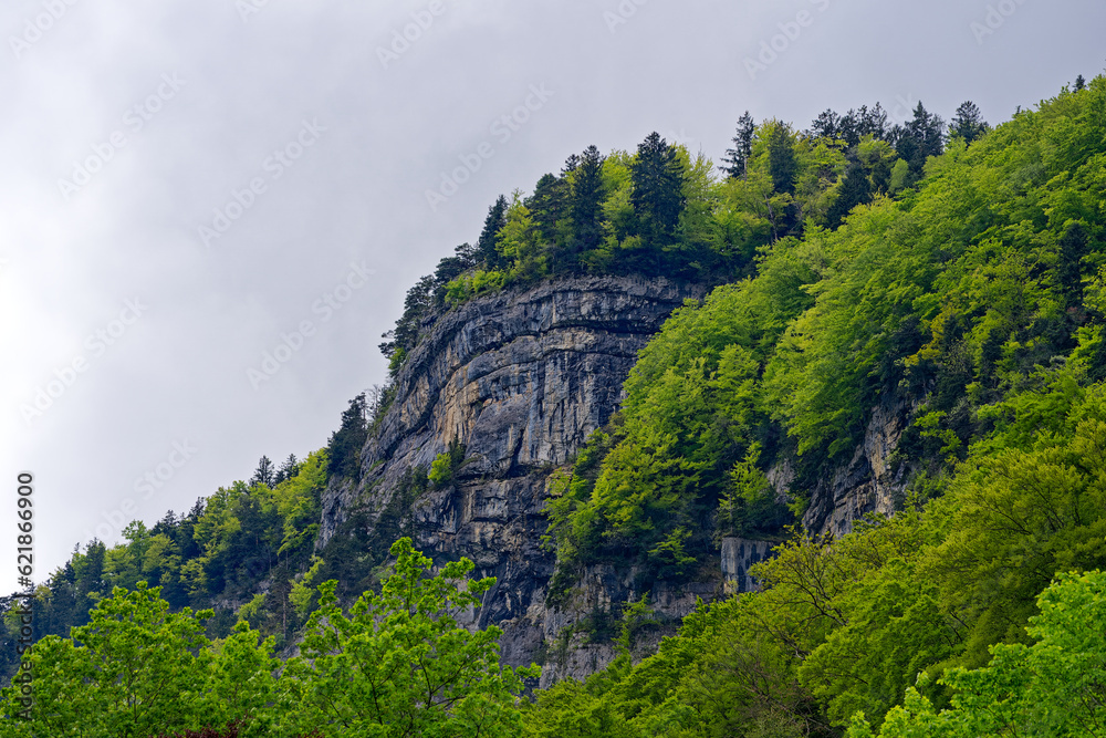 Scenic landscape with cliff and woodland at lakeshore of Lake Lucerne seen from passenger ship on Lake Lucerne on a cloudy spring day. Photo taken May 18t, 2023, Treib, Canton Uri, Switzerland. Scenic landscape with cliff and woodland at lakeshore of Lake Lucerne seen from passenger ship on Lake Lucerne on a cloudy spring day. Photo taken May 18t, 2023, Treib, Canton Uri, Switzerland.