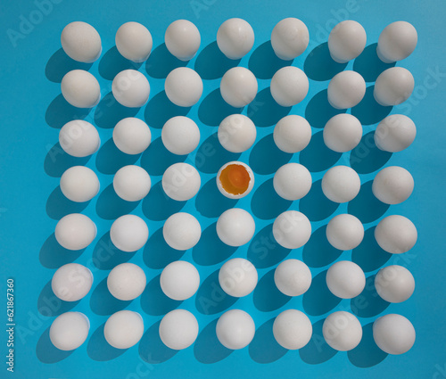 A large number of white eggs