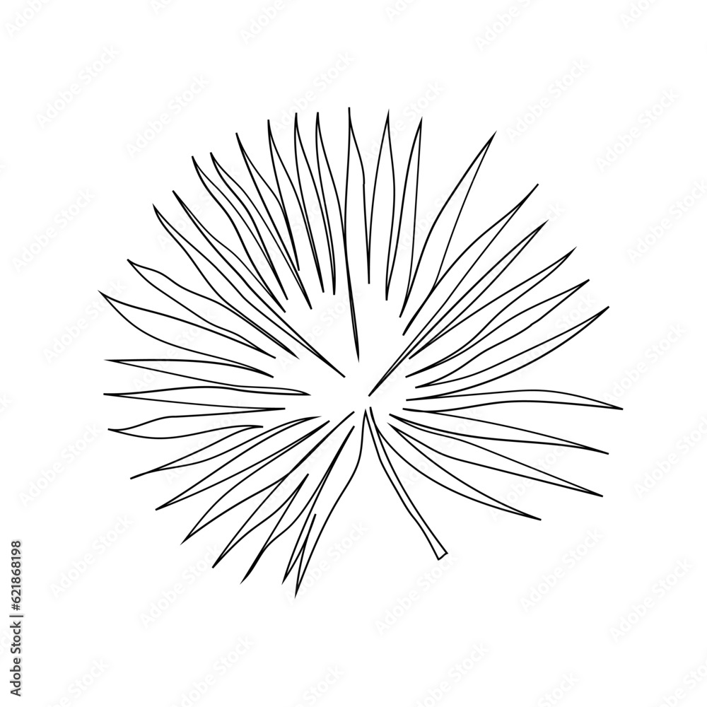 Fototapeta premium Palm leaves are drawn with a continuous line. Palm Washingtonia. Black outline. Tropical leaf. Botanical element isolated on white. Hand drawn. Vector illustration.