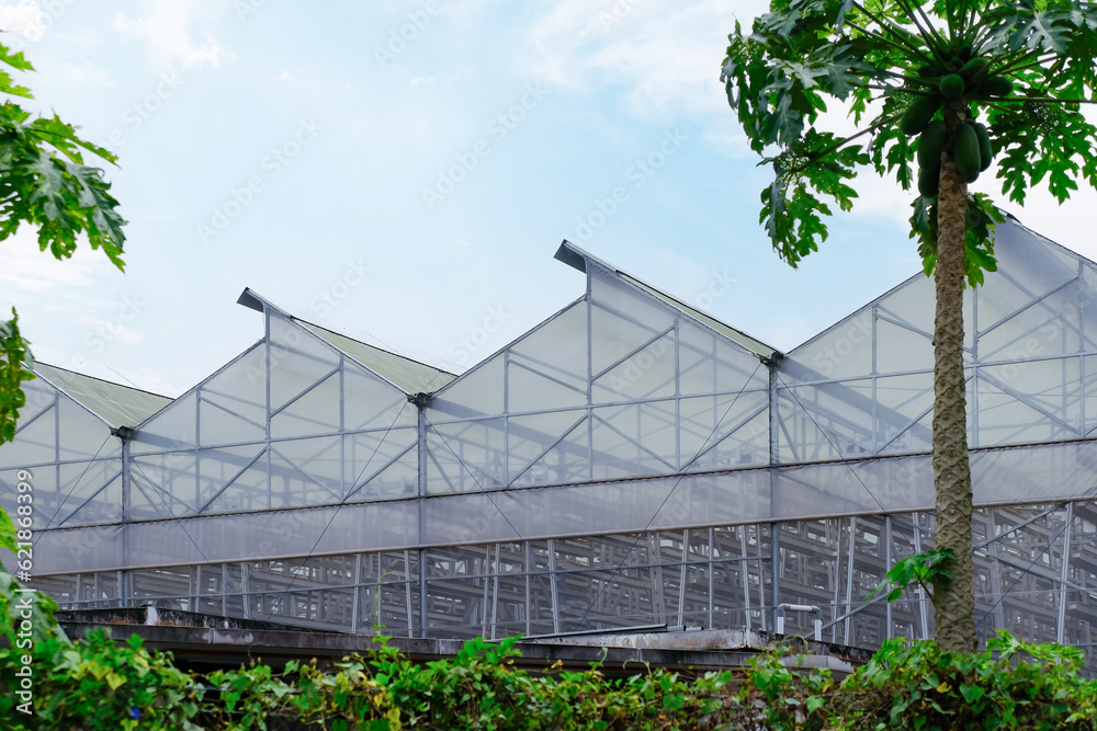 Exterior view of a commercial vertical farm in Singapore. To maximise land for food production, vegetables are grown in A-shaped towers. Green technologies