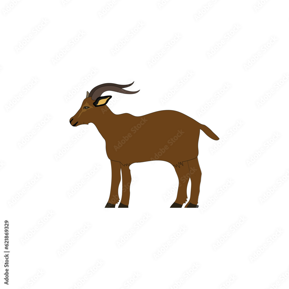 antelope vector