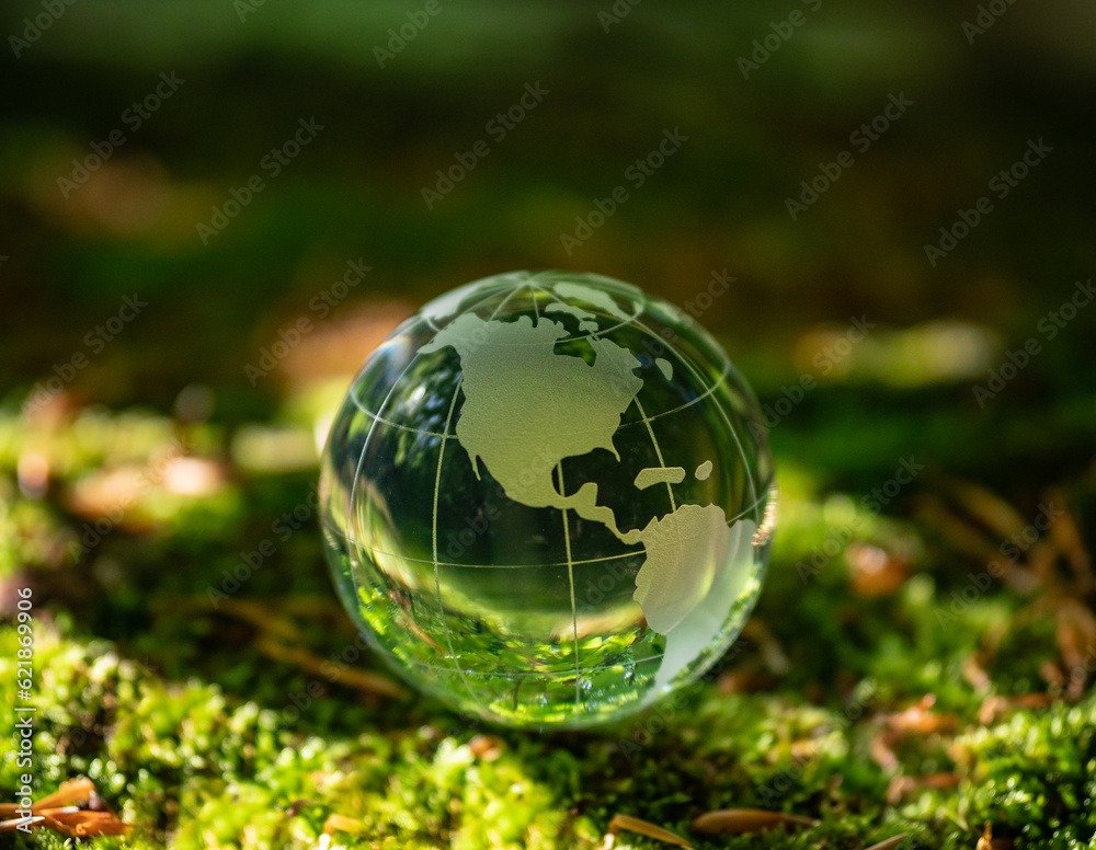 glass earth globe in forest. glass earth globe in forest.