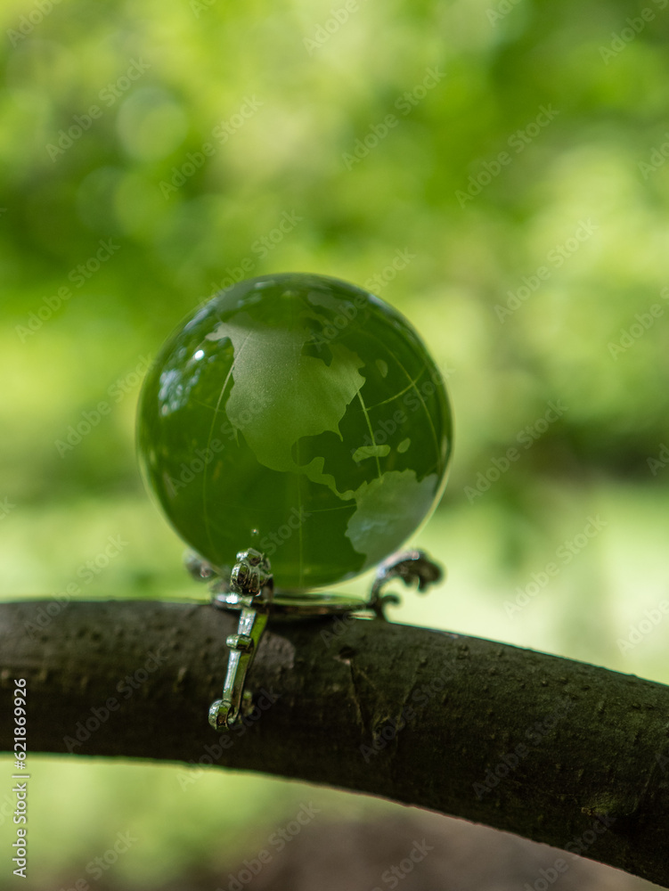 glass earth globe in forest glass earth globe in forest
