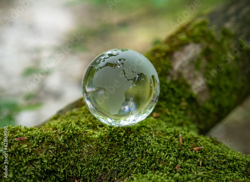 glass earth globe in forest