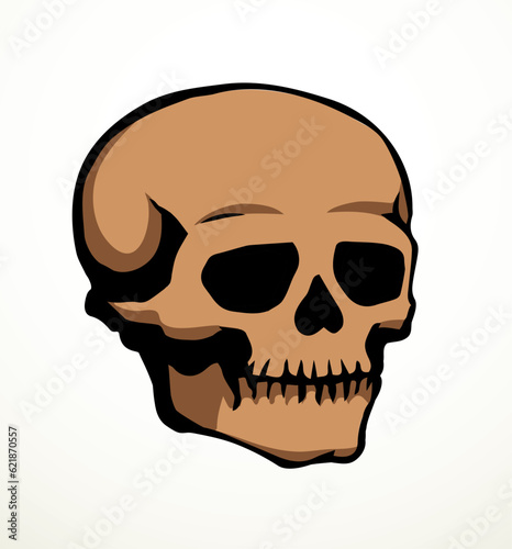 Vector drawing. Skull and neck bones