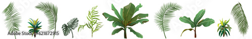 Border with tropical plants. Set of green leaves from coconut palm, banana tree, monstera, bamboo, dracaena on white background. Panoramic view, realistic botanical illustration in watercolor style