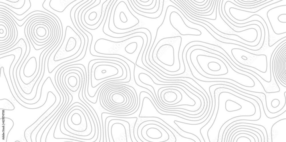  Background of the topographic map. White wave paper curved reliefs abstract background. Topographic line contour map background. Black and white topography contour lines map isolated.