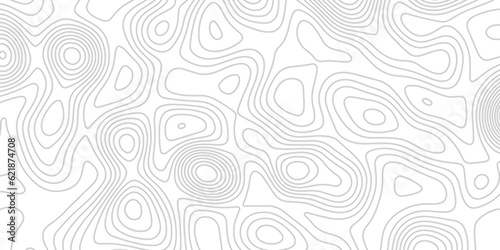  Background of the topographic map. White wave paper curved reliefs abstract background. Topographic line contour map background. Black and white topography contour lines map isolated.