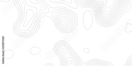  Background of the topographic map. White wave paper curved reliefs abstract background. Topographic line contour map background. Black and white topography contour lines map isolated.