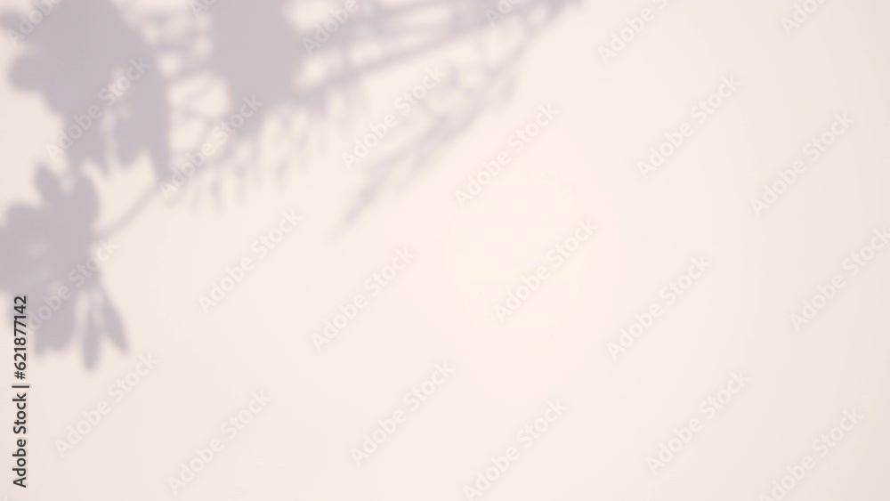 Animated graphics leaf shadow with natural light Animated graphics leaf shadow with natural light
