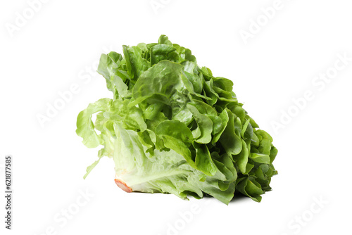 PNG, fresh summer food - lettuce isolated on white background
