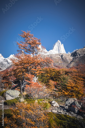 Entorno del Fiztroy y Cerro Torre en otoño. photo