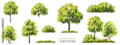 Obraz na płótnie Vector of wild grass or blooming shrub isolated on white background,tree elevati