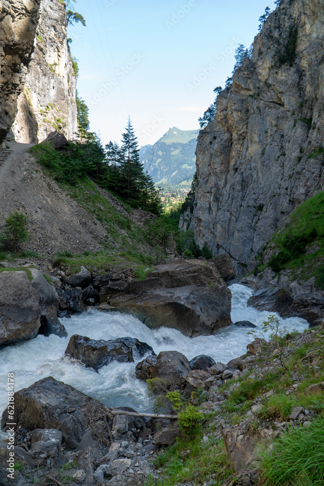 Mountain river going through a forest