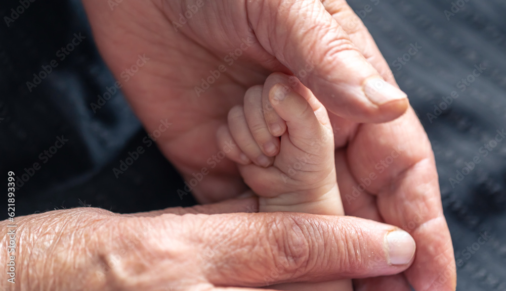 Hands of senior person and little baby close up. Hands of senior person and little baby close up.