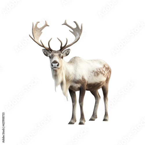 Isolated PNG cut out of a Christmas reindeer  Generative ai