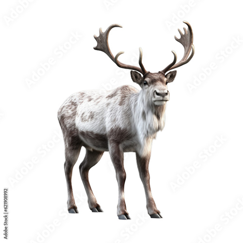 Isolated PNG cut out of a Christmas reindeer, Generative ai