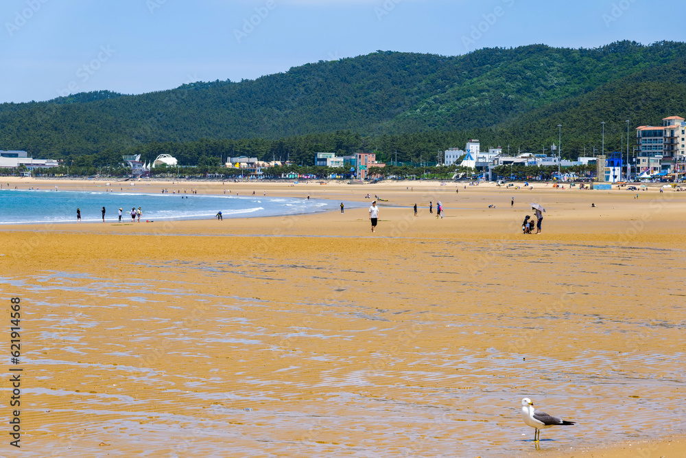 view of the coastal city beach in the summer. Mallipo beach Taean gun city in South Korea 26.06.2023 view of the coastal city beach in the summer. Mallipo beach Taean gun city in South Korea 26.06.2023