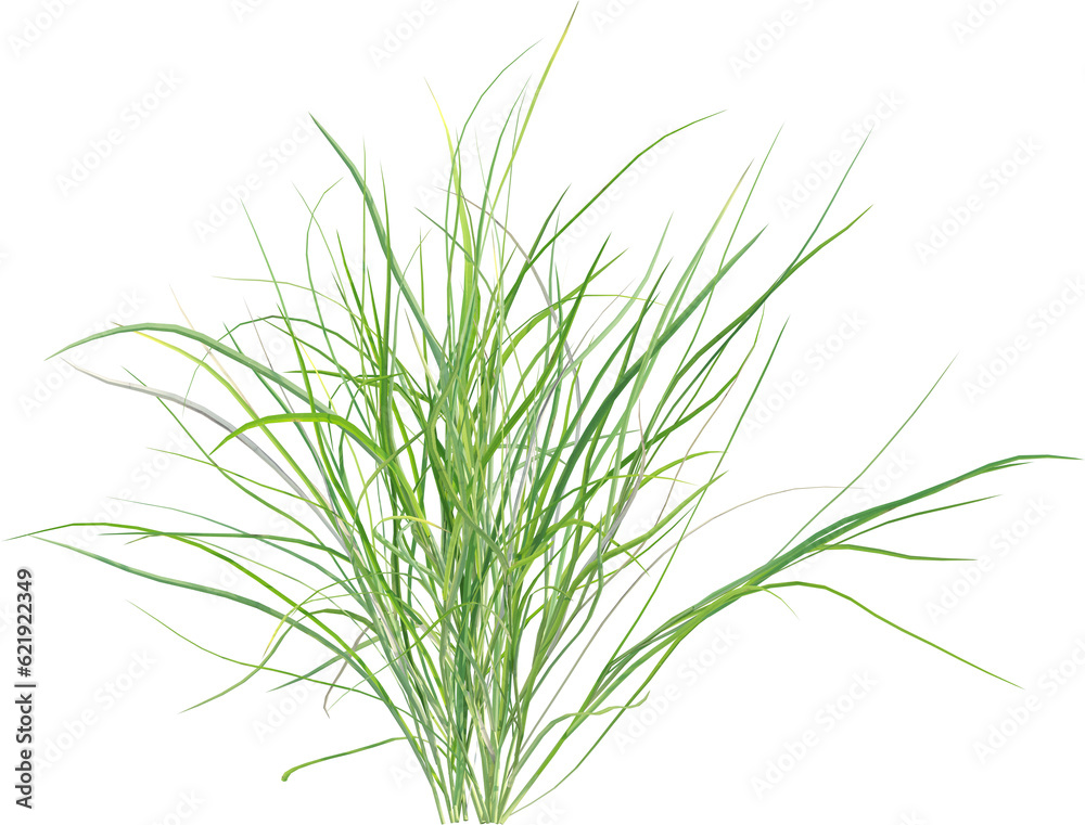 Side view of wild grass Side view of wild grass