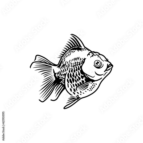 isolated goldfish vector in white background