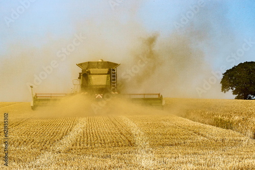 combine harvester on field © Hans Steen-Kiel