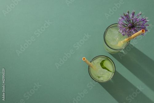 Fototapeta Naklejka Na Ścianę i Meble -  Concept of fresh summer drink - brine cocktail