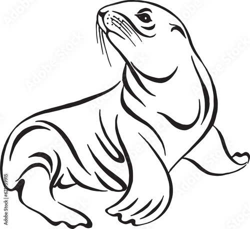 Cute fur seal animal drawing. Seated sea lion. Hand drawn black and white vector illustration isolated on white background. Design for tattoo.