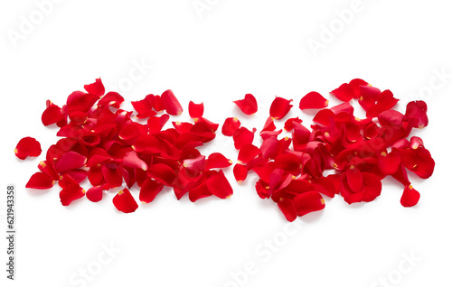 Red rose petals isolated on white background