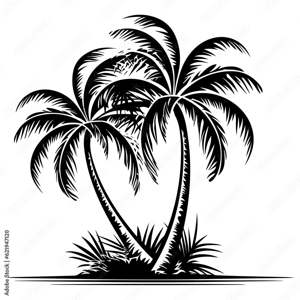 Palm Trees Black and White