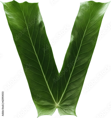 Green leaf typography text design uppercase alphabet V