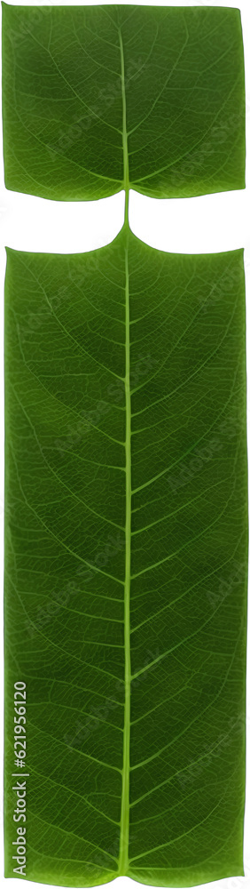 Green leaf typography text design lowercase alphabet m