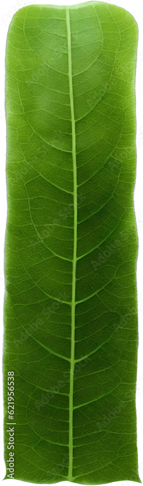 Green leaf typography text design lowercase alphabet m Green leaf typography text design lowercase alphabet m