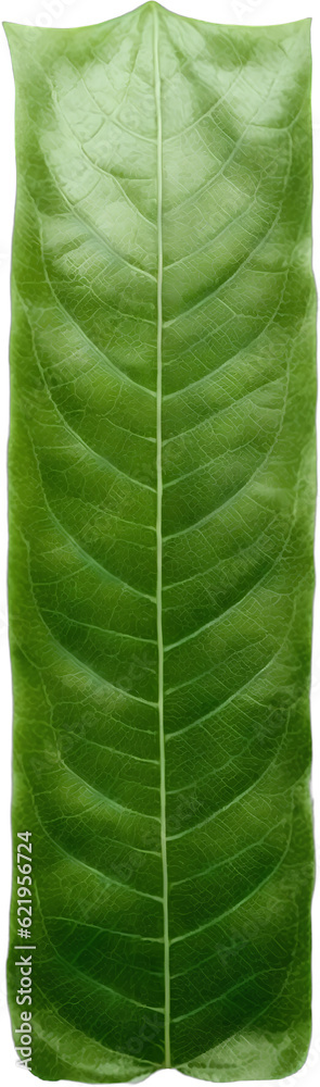 Green leaf typography text design lowercase alphabet m Green leaf typography text design lowercase alphabet m